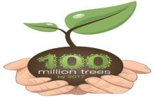 Operacja 100 milionów drzew