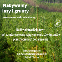 Nabywamy lasy i grunty
