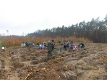 Pracownicy Nadleśnictwa Babimost wraz z rodzinami posadzili las